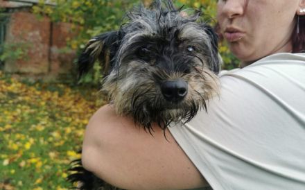 Kleine wuschelige Maisy sucht Zuhause