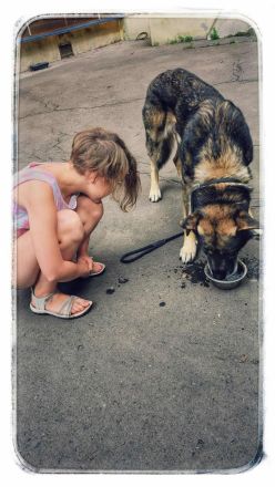 Lobo, großer sanftmütiger Riese ist kinderlieb