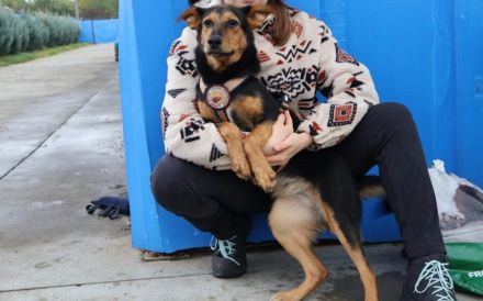 Aufgeweckte Mascha sucht ihre Menschen