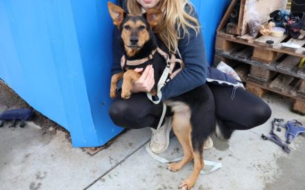 Aufgeweckte Mascha sucht ihre Menschen