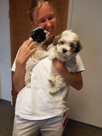 HAVAMALT * ALWIN und ALINA suchen ihr Für-Immer-Zuhause