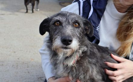 Kämpferin mit Herz - Wanda wartet auf ihre Familie