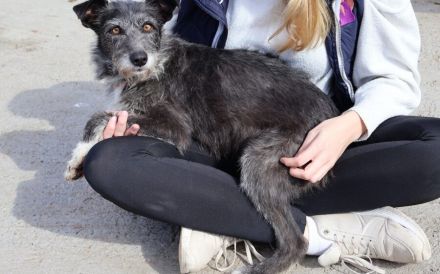 Kämpferin mit Herz - Wanda wartet auf ihre Familie