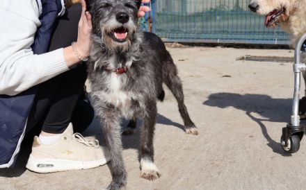 Kämpferin mit Herz - Wanda wartet auf ihre Familie