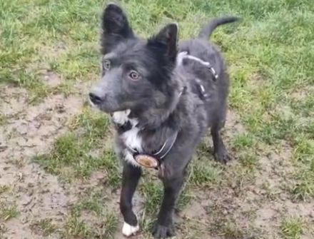 Kämpferin Sayana sucht Neuanfang