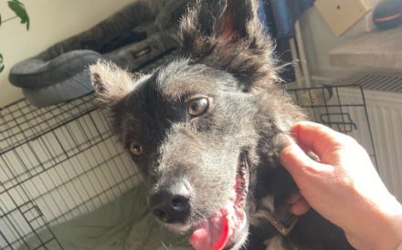 Kämpferin Sayana sucht Neuanfang