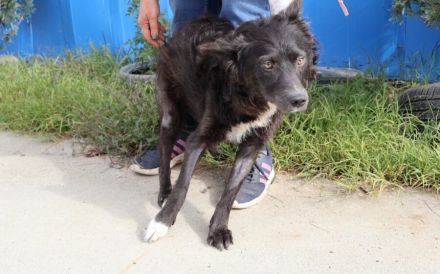 Kämpferin Sayana sucht Neuanfang