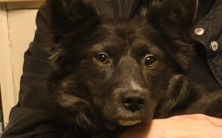 Kämpferin Sayana sucht Neuanfang