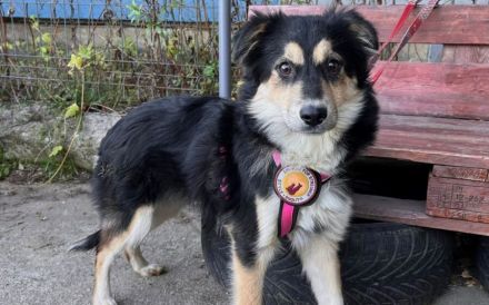 Themis wartet auf ihre Familie