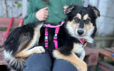 Themis wartet auf ihre Familie