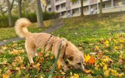 Ylwie ist ein echter Hauptgewinn