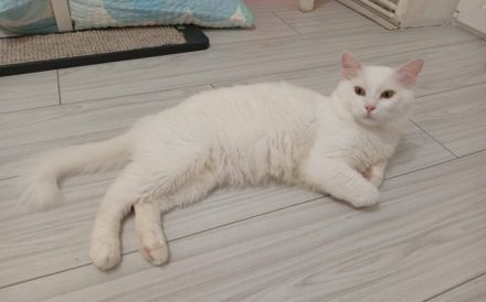 Bings: Eine schüchterne Seele sucht Vertrauen