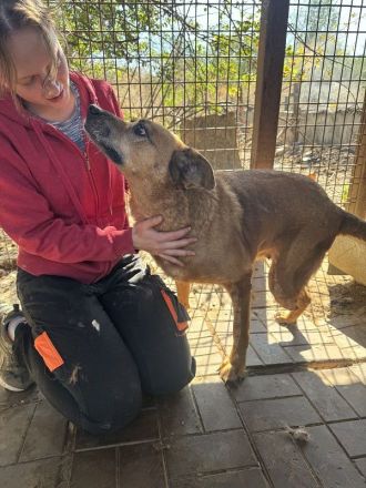 Litchie, wer hat ein Herz für eine 3,5 beinige liebe Seniorin? 8 Jahre, 56 cm