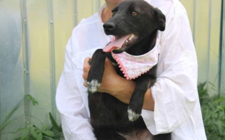 Zauberhafte Lynn sucht liebevolles Zuhause