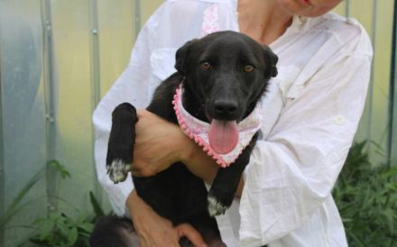 Zauberhafte Lynn sucht liebevolles Zuhause