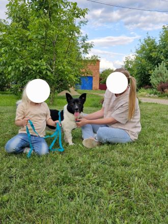 Lieber Willi sucht Familienanschluss