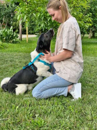 Lieber Willi sucht Familienanschluss