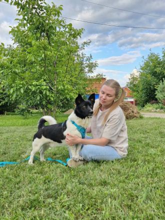 Lieber Willi sucht Familienanschluss