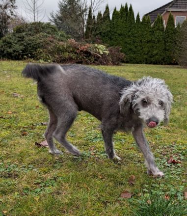 Kleine Racker suchen ein Zuhause