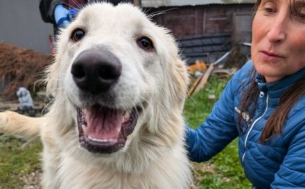 Lebensfreude pur: unsere Rose