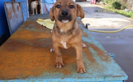 Hallo - Ich bin Lilu