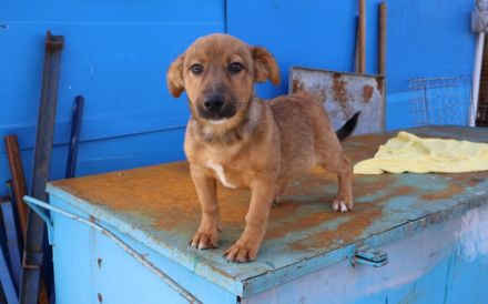 Hallo - Ich bin Lilu