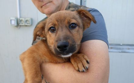 Hallo - Ich bin Lilu