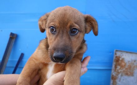 Hallo - Ich bin Lilu