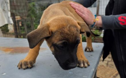 Mach dein Herz auf für Pia!