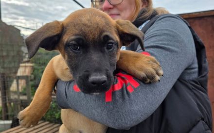 Mach dein Herz auf für Pia!