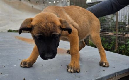 Mach dein Herz auf für Pia!