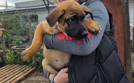 Mach dein Herz auf für Pia!