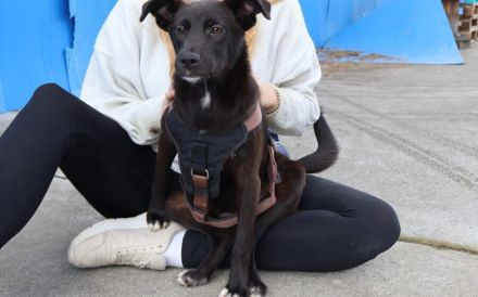 Emma wartet auf dich