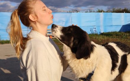 Stattlicher aber sanfter Rüde Angelo