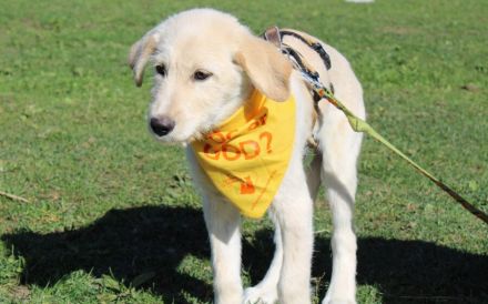 Rasmus ist einfach zum Dahinschmelzen