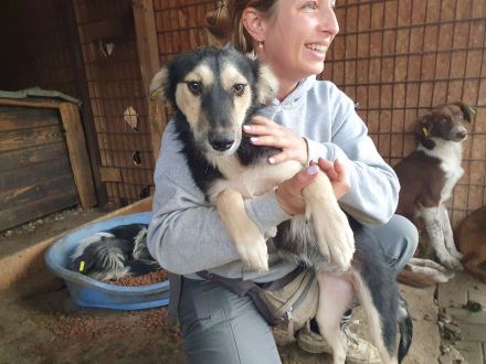 Isabella, diese junge Hündin ist einfach zum Verlieben! 9 Monate, 46 cm