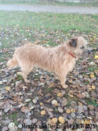 Ayra, schüchtern und sehr lieb