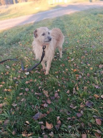 Ayra, schüchtern und sehr lieb