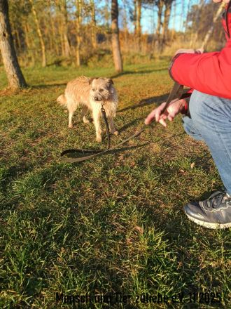 Ayra, schüchtern und sehr lieb