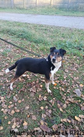 Nemo, lieb und verträglich