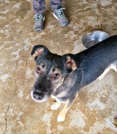 Kanzi, ein freundliches Mädchen, sucht ihr Glück bei uns in Deutschland