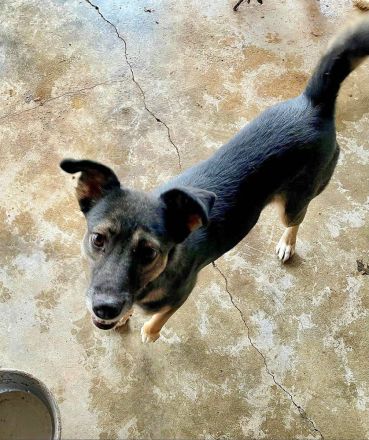 Kanzi, ein freundliches Mädchen, sucht ihr Glück bei uns in Deutschland