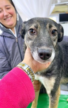 Kanzi, ein freundliches Mädchen, sucht ihr Glück bei uns in Deutschland