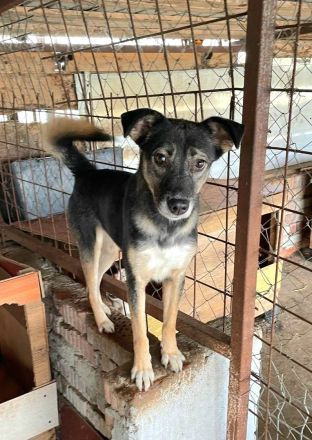 Kanzi, ein freundliches Mädchen, sucht ihr Glück bei uns in Deutschland