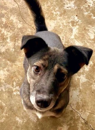 Kanzi, ein freundliches Mädchen, sucht ihr Glück bei uns in Deutschland