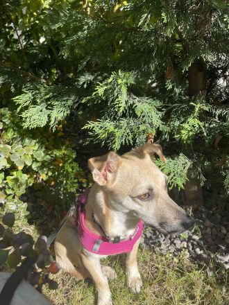 Neva sucht neues Vertrauen zum auftauen