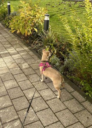 Neva sucht neues Vertrauen zum auftauen