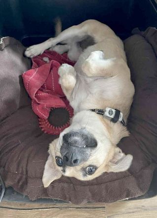 Neva sucht neues Vertrauen zum auftauen