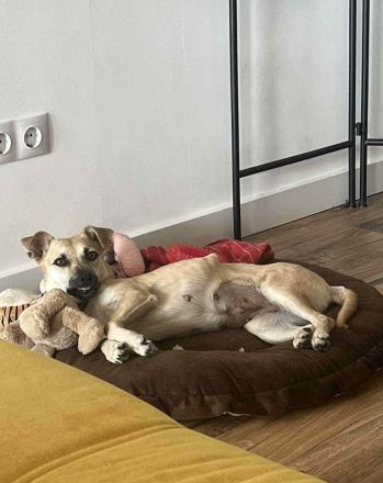 Neva sucht neues Vertrauen zum auftauen