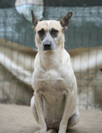 NALA möchte ihre Lebensfreude zurück